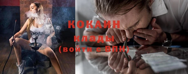 шишки Абинск