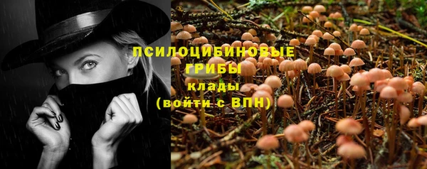 ALPHA PVP Алексин