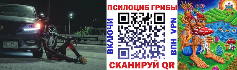 Галлюциногенные грибы Psilocybe сколько стоит Судогда